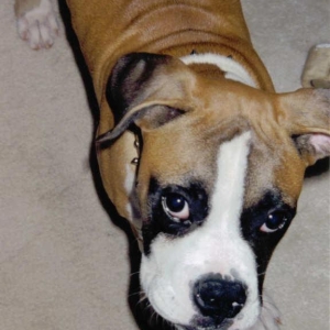 Samson at 3 1/2 months