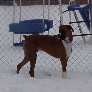 Myles in his yard