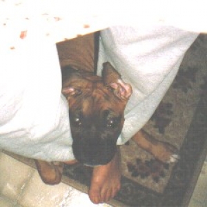 Resting My Head