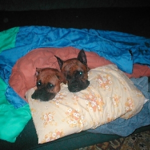 Ok, we are tired now
