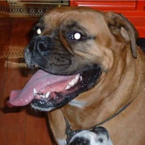 nice tongue, huh?