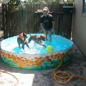 Could not get them out of this pool