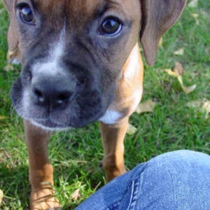 What big eyes you have!