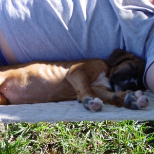 Just Relaxing