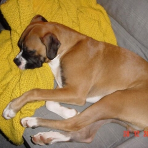 Resting from all the playing
