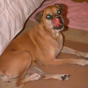 Lickity split!