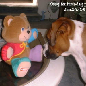 Ozzy's 1st birthday
