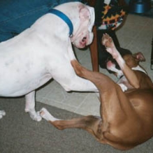 Finn and Zoe