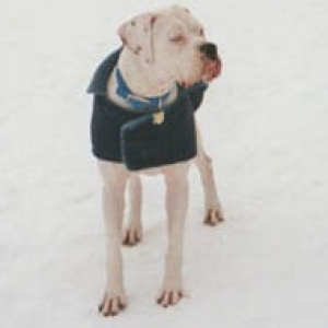 New Fleece Coat