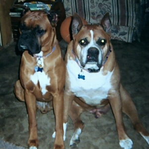 Jack and Goliath