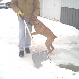 I can shovel!