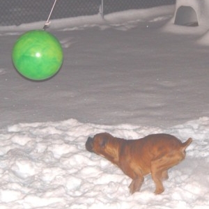 Playing tetherball in the snow