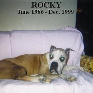 Our Rocky