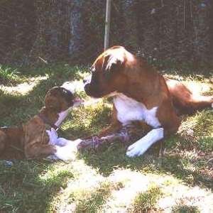 Henri & Stella
