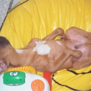 napping