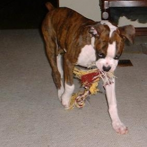My Rope