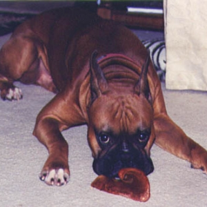 My Pig Ear!