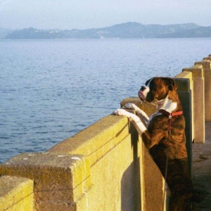 Mason looking to sea