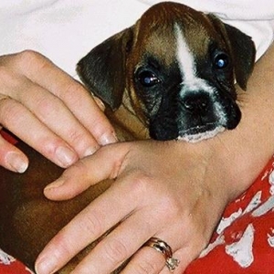 Baby Barkley