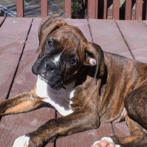 Luke in the sun