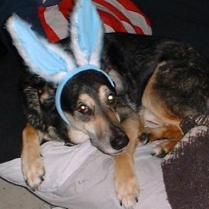 Easter Bunny Spotted
