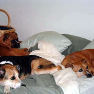 So you want to go back to sleep??