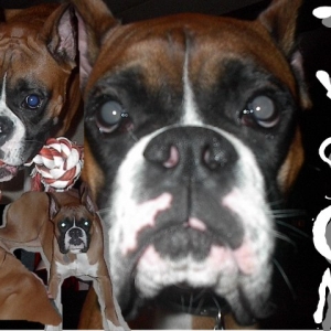 The many faces of Tyson
