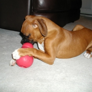 Mmm Kong