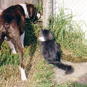 Two curious guys