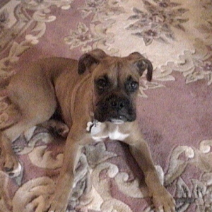 Chillin in dinning room