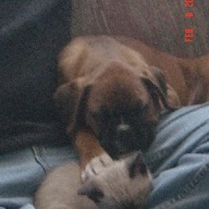 cash and tess
