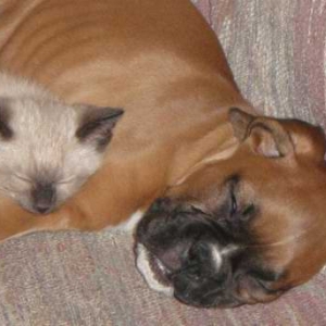 cash and tess again