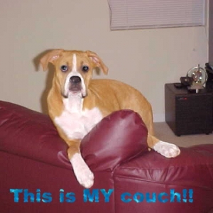 This is MY couch
