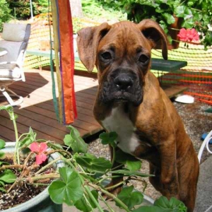 Can I please eat the plant!!!