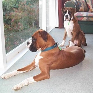 Just supervising