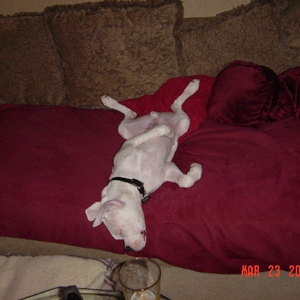 passed out