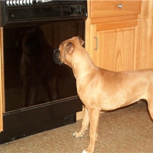 admiring my reflection