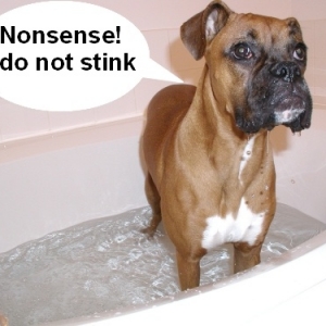 You Stink