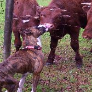 Let me clean that nose!