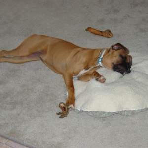 Nap Time