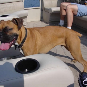 Hugo at the Lake