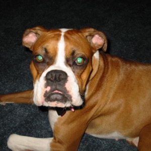 LuLuBelle McMichael