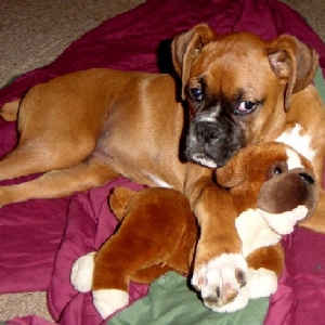 Cash and his favorite toy