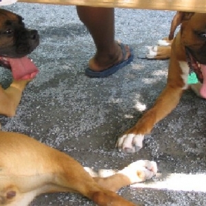 Cash and Millie again