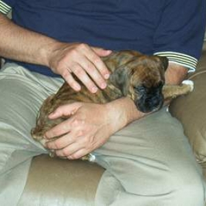 Chloe