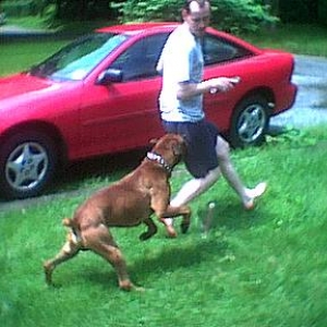 Ninja biting daddy in butt ;o)