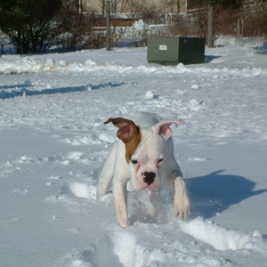Cold Again!