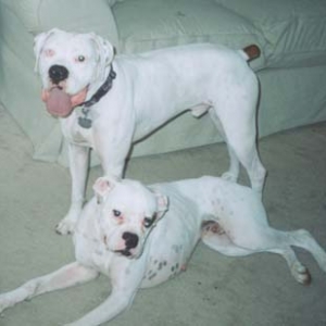 Finnegan & Buster