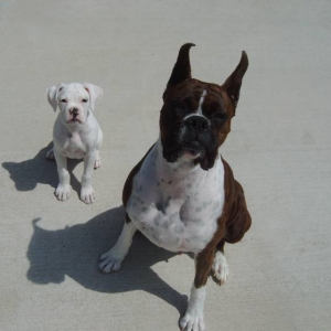 My two kids