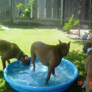 More Pool Party!
